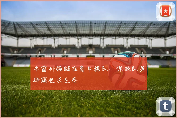 冬窗补强瞄准青年梯队,保级队另辟蹊径求生存