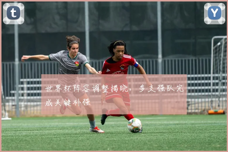 世界杯阵容调整揭晓,多支强队完成关键补强